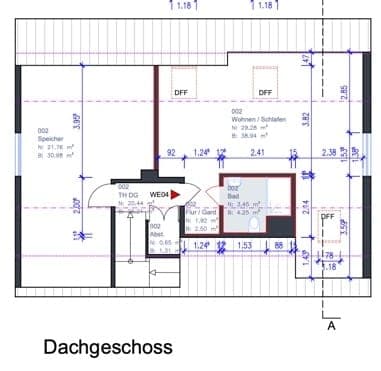 DG