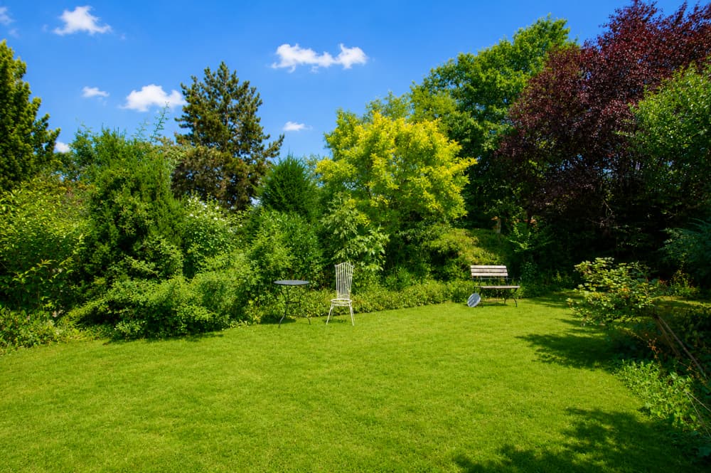 Garten
