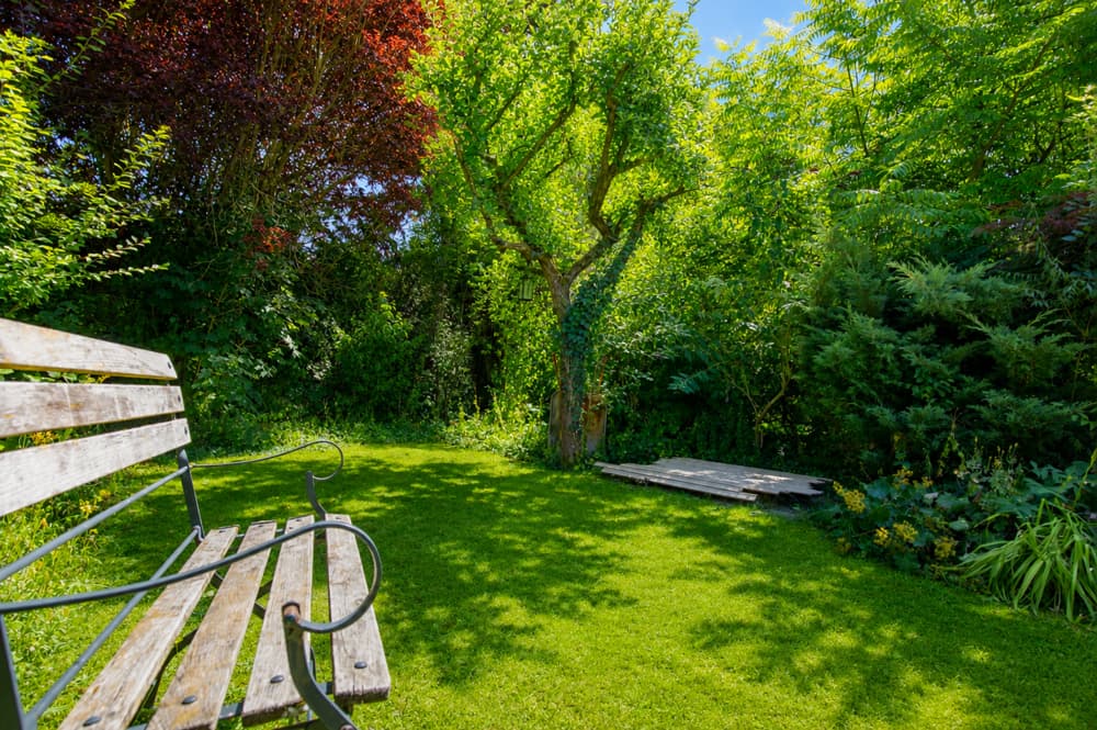 Garten
