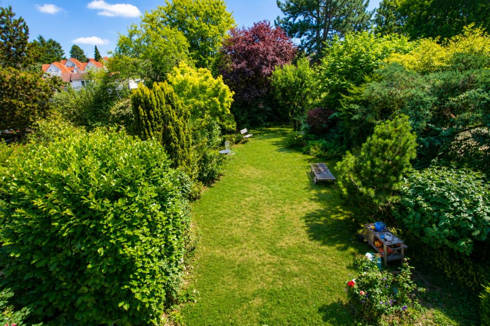 Blick vom Balkon in Garten