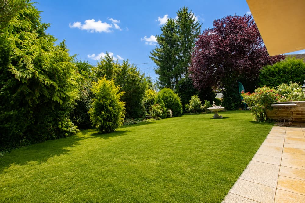 Garten