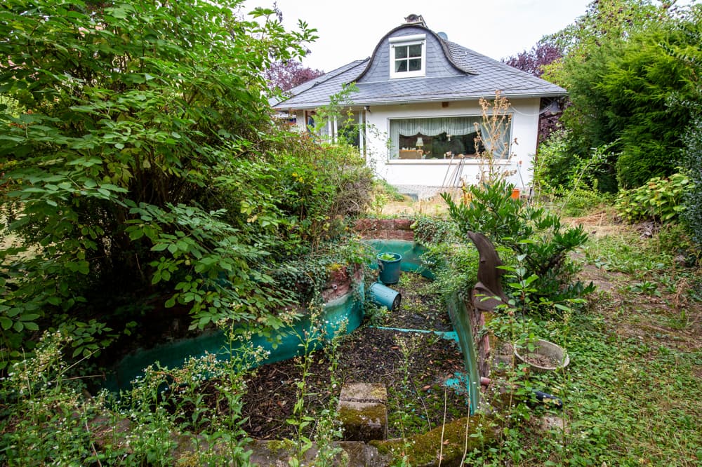 Teich im Garten